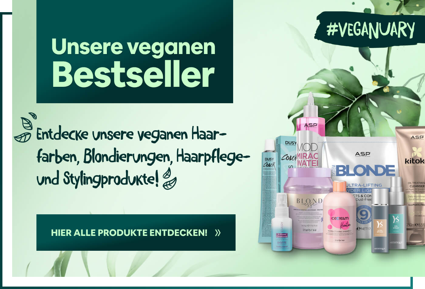 Vegane Blondierung, Haarpflege und Stylinartikel bei Stopperka